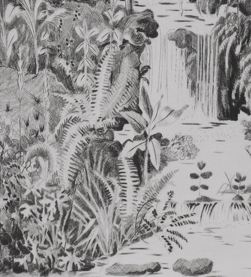 Camille COMBE : Au jardin des Plantes, Gravure originale signée