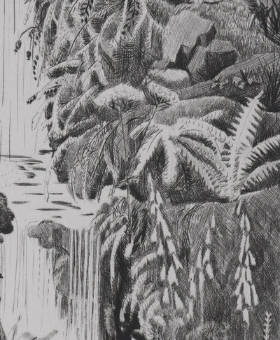 Camille COMBE : Au jardin des Plantes, Gravure originale signée