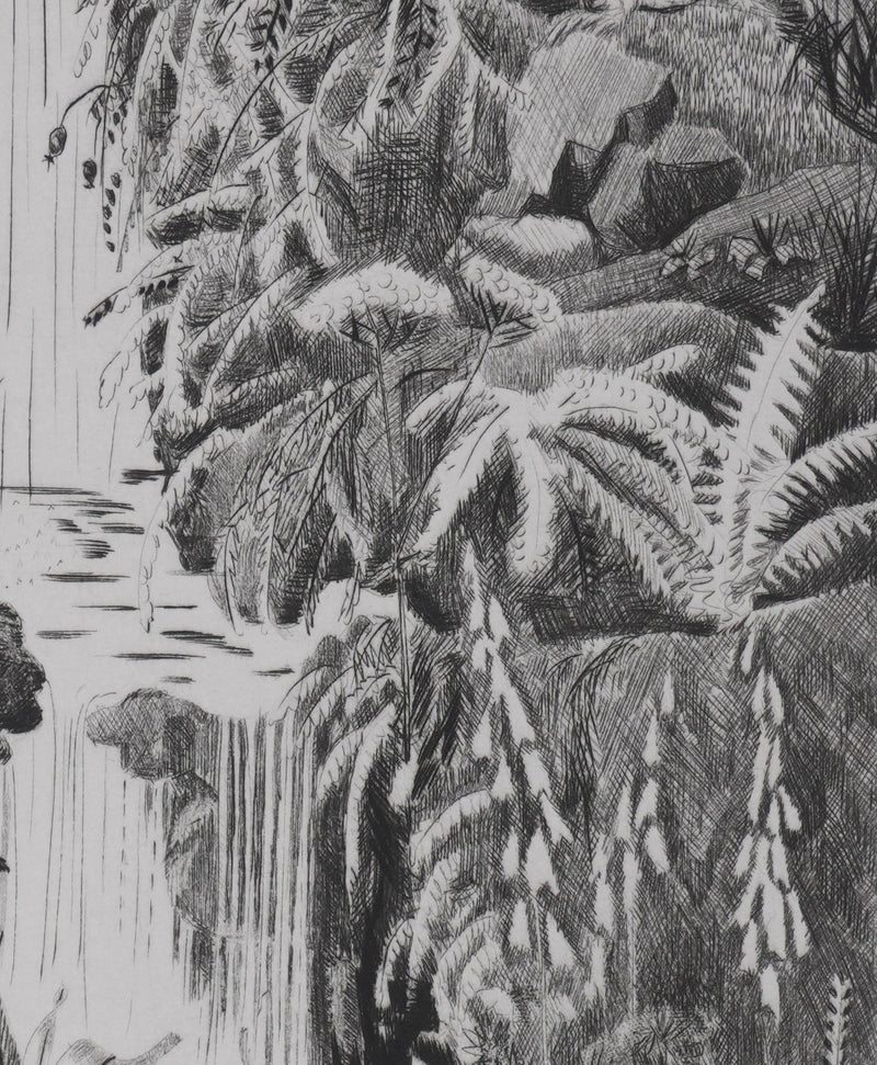 Camille COMBE : Au jardin des Plantes, Gravure originale signée