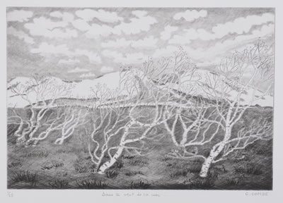 Camille COMBE : Dans le vent de la mer, Gravure originale signée