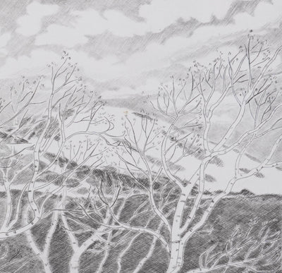 Camille COMBE : Dans le vent de la mer, Gravure originale signée