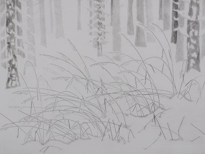 Camille COMBE : Herbes folles dans la neige, Gravure originale signée