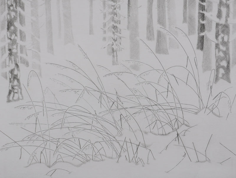 Camille COMBE : Herbes folles dans la neige, Gravure originale signée