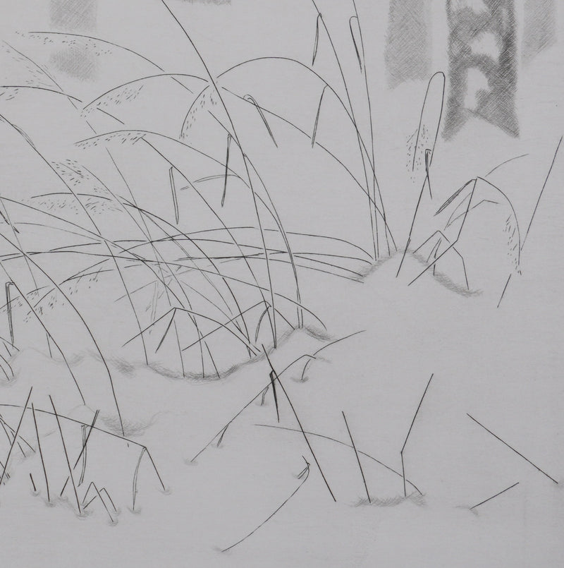 Camille COMBE : Herbes folles dans la neige, Gravure originale signée