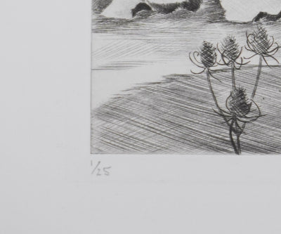 Camille COMBE : Paysage de Velay, Gravure originale signée