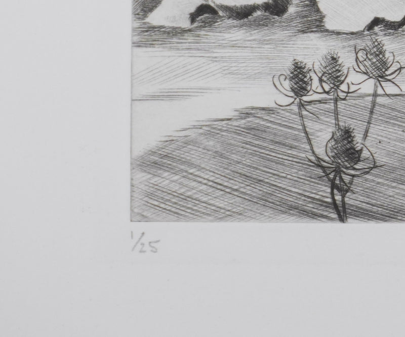 Camille COMBE : Paysage de Velay, Gravure originale signée