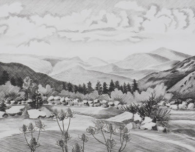 Camille COMBE : Paysage de Velay, Gravure originale signée