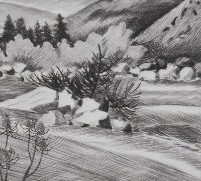 Camille COMBE : Paysage de Velay, Gravure originale signée