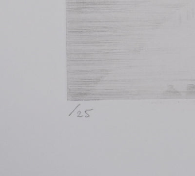 Camille COMBE : Paysage de l'arctique, Gravure originale signée
