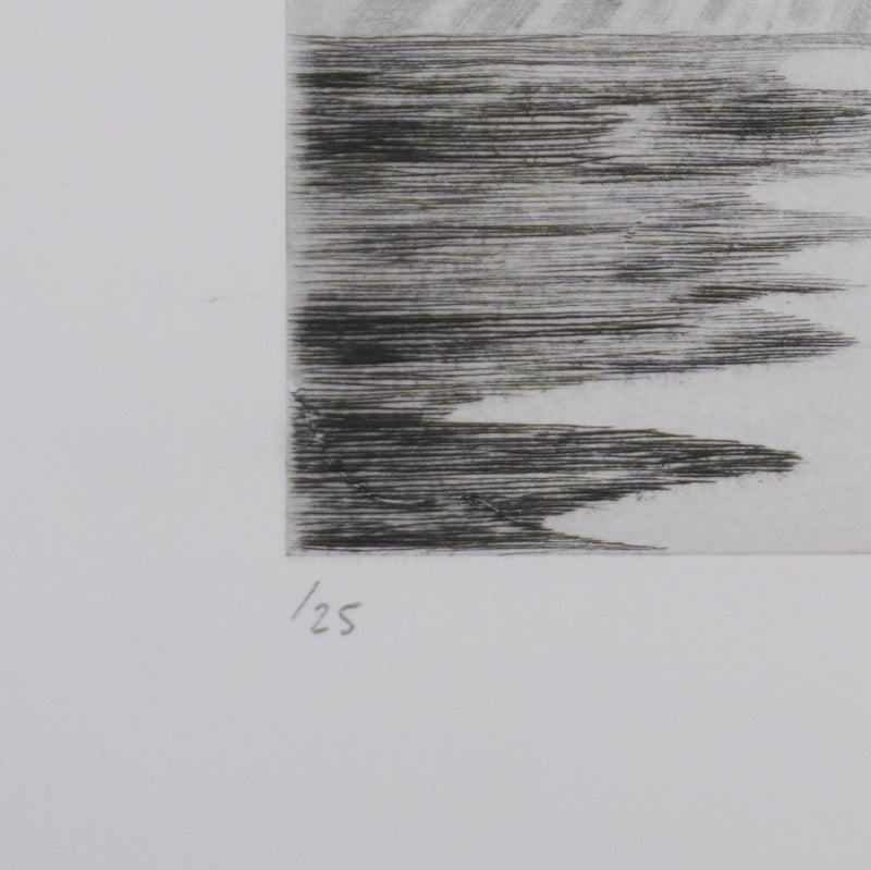 Camille COMBE : La fête de la lumière, Gravure originale signée