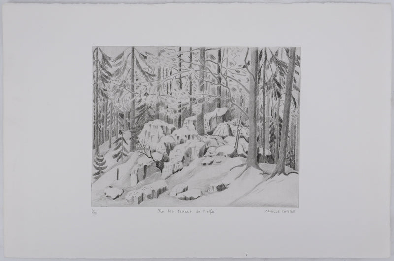 Camille COMBE : Sur les traces de l&