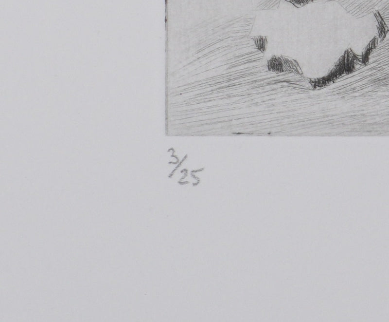 Camille COMBE : Sur les traces de l&