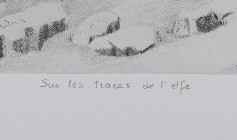 Camille COMBE : Sur les traces de l&