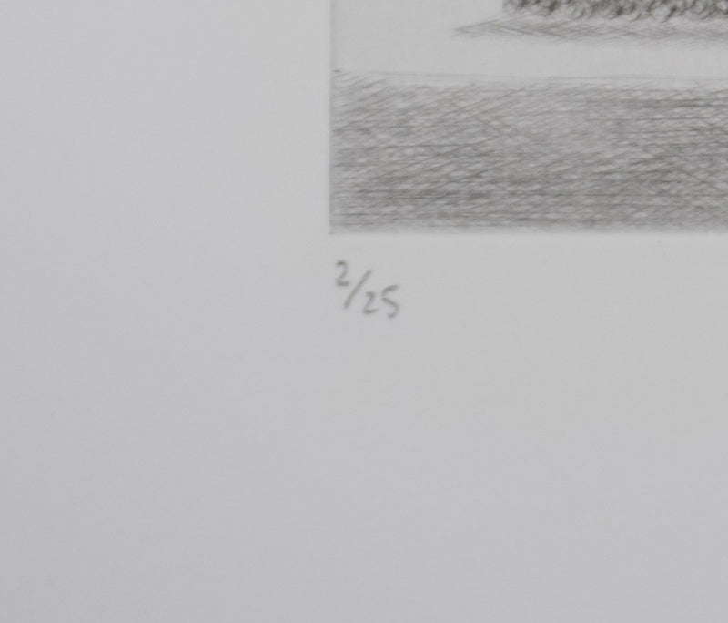 Camille COMBE : Au jardin des Tuileries, Gravure originale signée