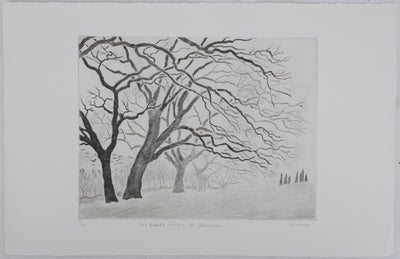 Camille COMBE : Les chênes de Servanes, Gravure originale (photo de détail 3) - Crédit photo : Galerie Art.Paris