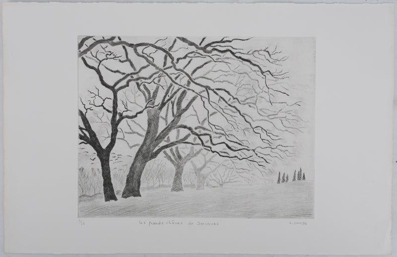 Camille COMBE : Les chênes de Servanes, Gravure originale (photo de détail 3) - Crédit photo : Galerie Art.Paris