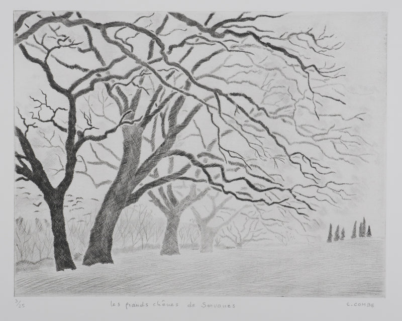 Camille COMBE : Les chênes de Servanes, Gravure originale (vue générale) - Crédit photo : Galerie Art.Paris