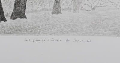 Camille COMBE : Les chênes de Servanes, Gravure originale (photo de détail 7) - Crédit photo : Galerie Art.Paris