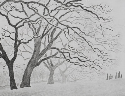 Camille COMBE : Les chênes de Servanes, Gravure originale (photo de détail 4) - Crédit photo : Galerie Art.Paris