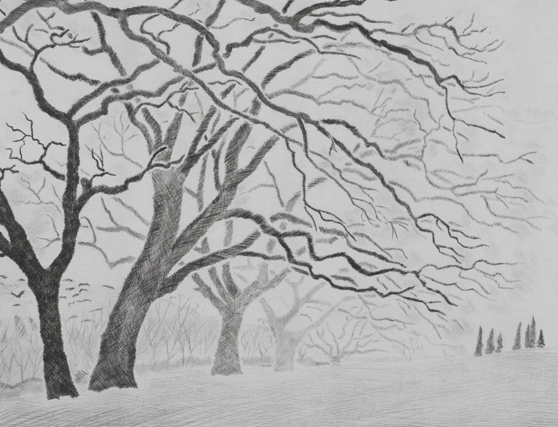 Camille COMBE : Les chênes de Servanes, Gravure originale (photo de détail 4) - Crédit photo : Galerie Art.Paris