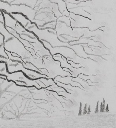 Camille COMBE : Les chênes de Servanes, Gravure originale (photo de détail 5) - Crédit photo : Galerie Art.Paris