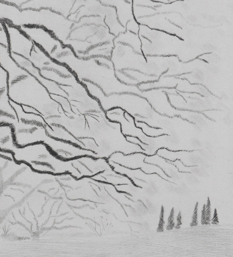 Camille COMBE : Les chênes de Servanes, Gravure originale (photo de détail 5) - Crédit photo : Galerie Art.Paris