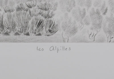 Camille COMBE : Les Alpilles, Gravure originale signée