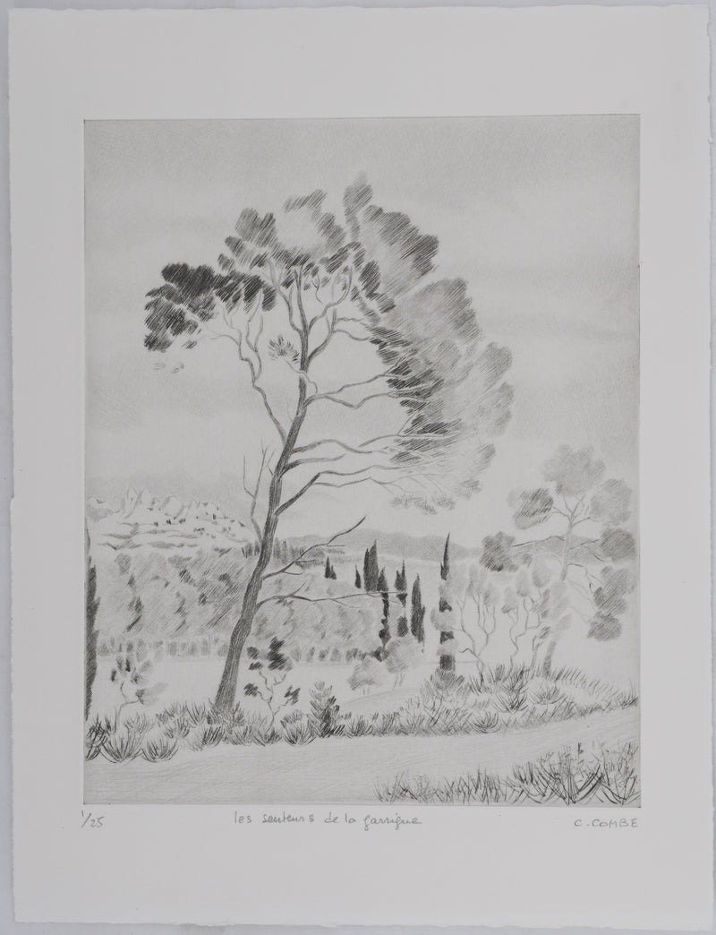 Camille COMBE : Les senteurs de la garrigue, Gravure originale signée