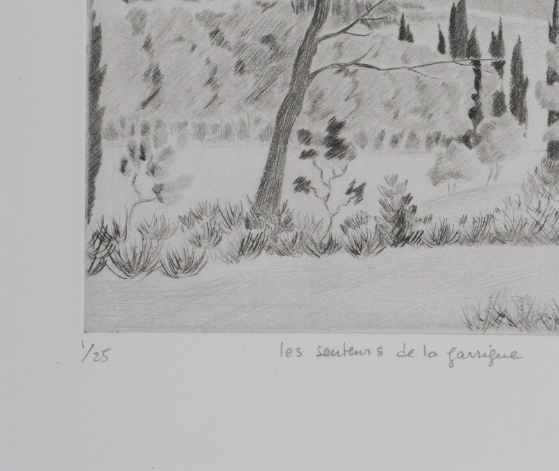 Camille COMBE : Les senteurs de la garrigue, Gravure originale signée