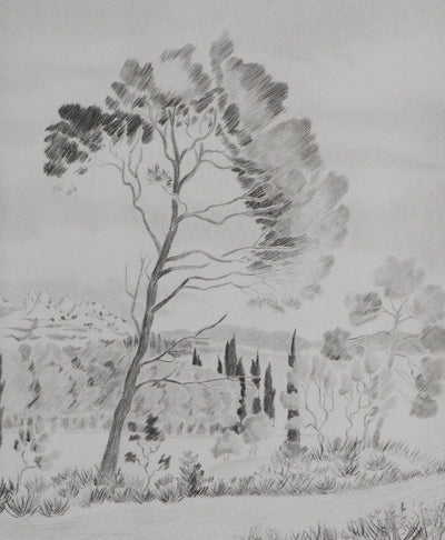 Camille COMBE : Les senteurs de la garrigue, Gravure originale signée