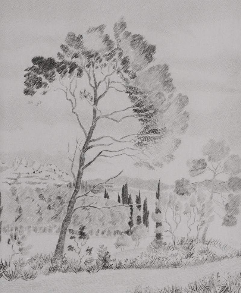 Camille COMBE : Les senteurs de la garrigue, Gravure originale signée