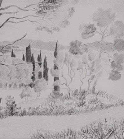 Camille COMBE : Les senteurs de la garrigue, Gravure originale signée