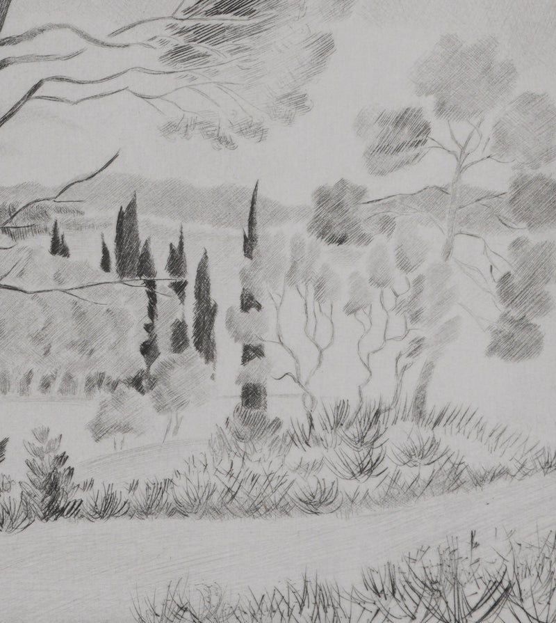 Camille COMBE : Les senteurs de la garrigue, Gravure originale signée
