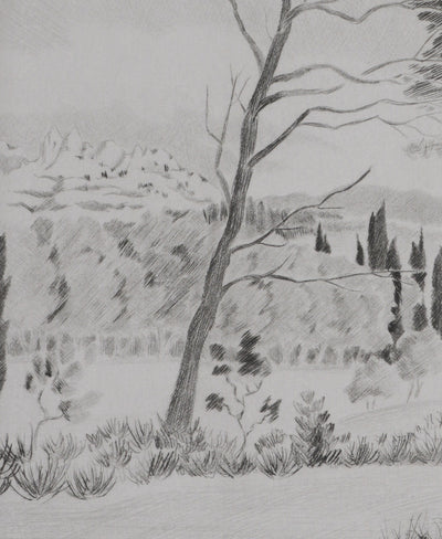 Camille COMBE : Les senteurs de la garrigue, Gravure originale signée