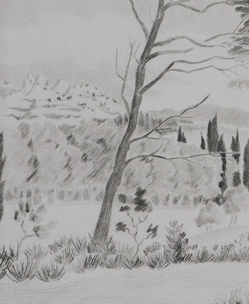 Camille COMBE : Les senteurs de la garrigue, Gravure originale signée