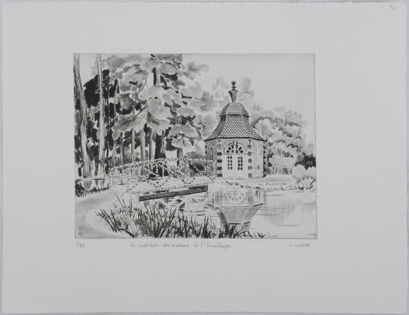 Camille COMBE : La maison des oiseaux à l&