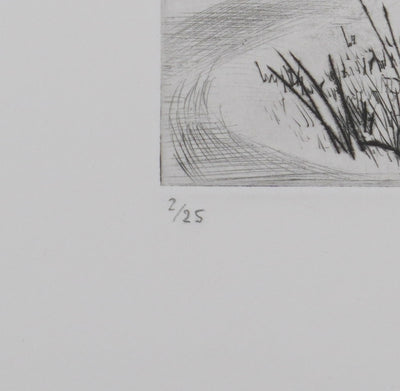 Camille COMBE : La maison des oiseaux à l'Ermitage, Gravure originale signée