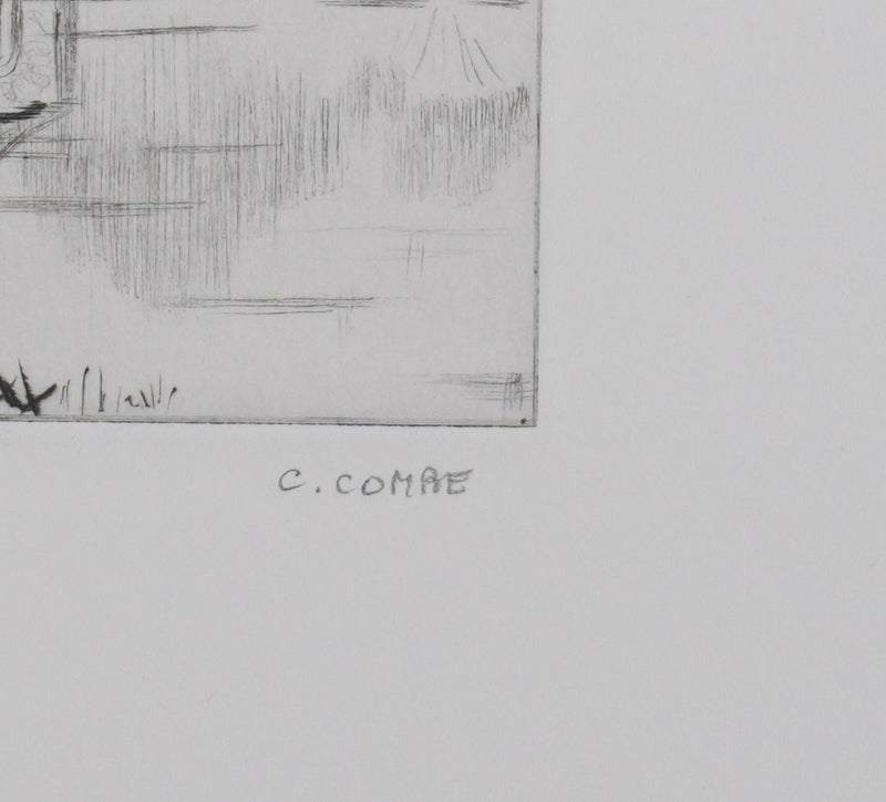Camille COMBE : La maison des oiseaux à l&