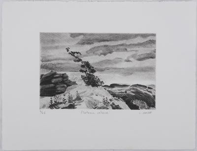 Camille COMBE : Plateau Velave, Gravure originale signée