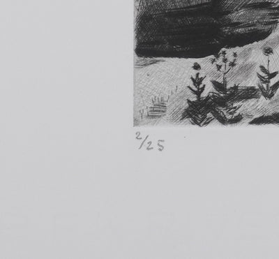 Camille COMBE : Plateau Velave, Gravure originale signée