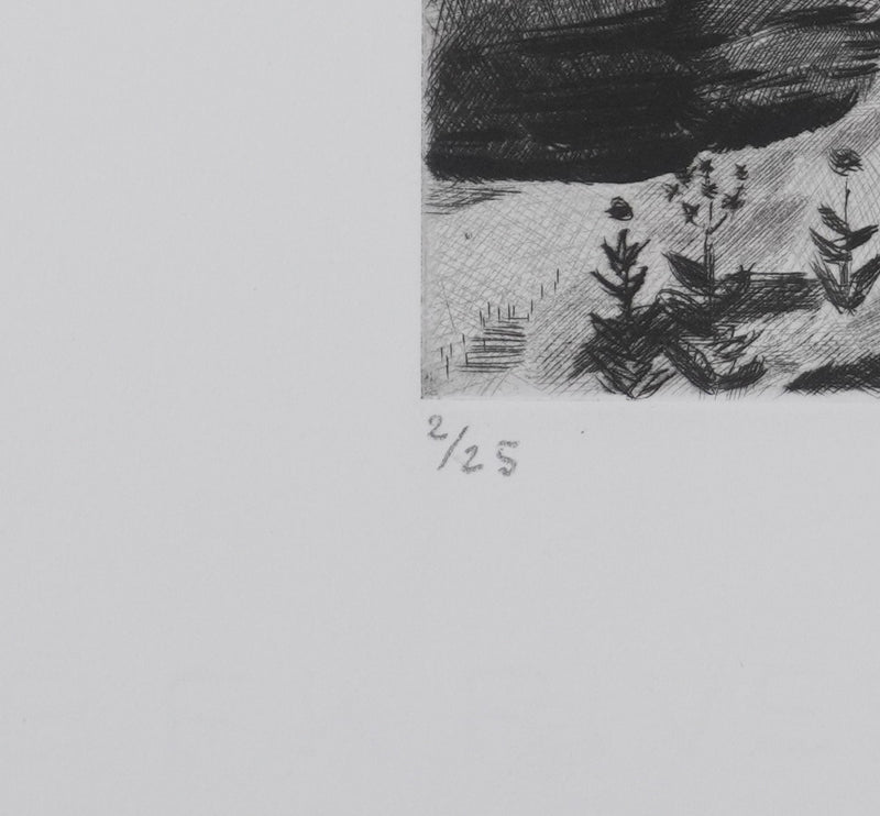 Camille COMBE : Plateau Velave, Gravure originale signée