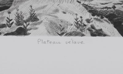 Camille COMBE : Plateau Velave, Gravure originale signée