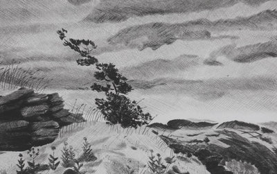 Camille COMBE : Plateau Velave, Gravure originale signée