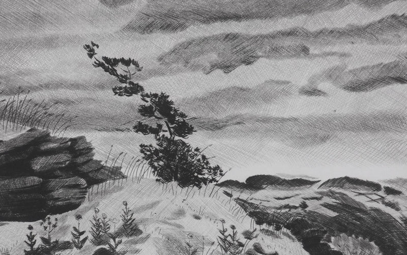 Camille COMBE : Plateau Velave, Gravure originale signée