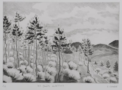 Camille COMBE : Les genêts ardéchois, Gravure originale signée