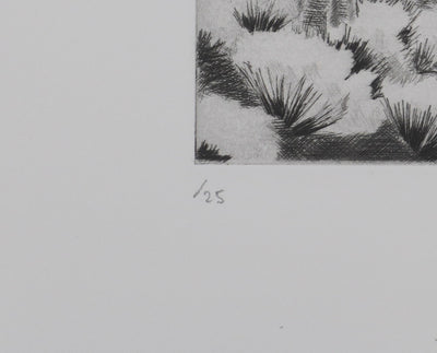 Camille COMBE : Les genêts ardéchois, Gravure originale signée