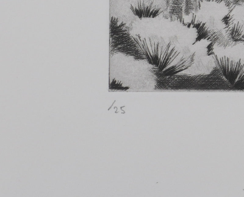 Camille COMBE : Les genêts ardéchois, Gravure originale signée