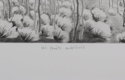 Camille COMBE : Les genêts ardéchois, Gravure originale signée