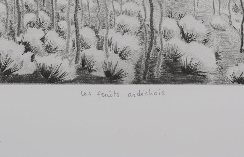 Camille COMBE : Les genêts ardéchois, Gravure originale signée