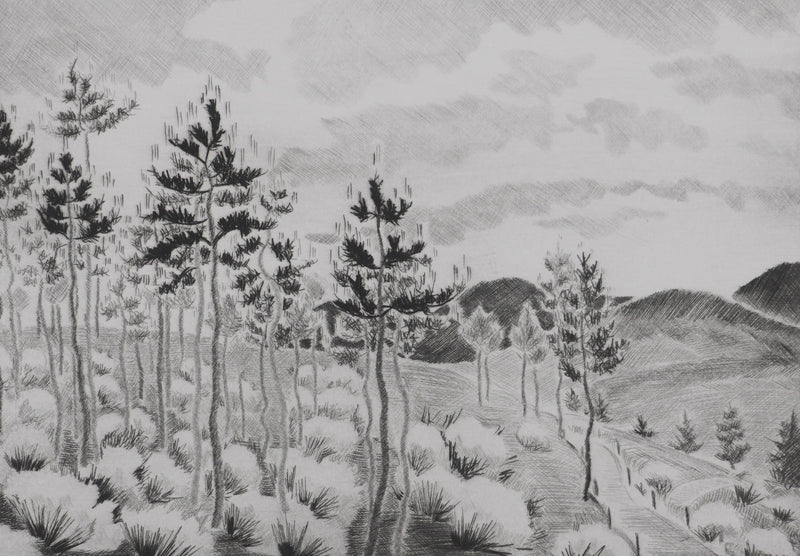 Camille COMBE : Les genêts ardéchois, Gravure originale signée
